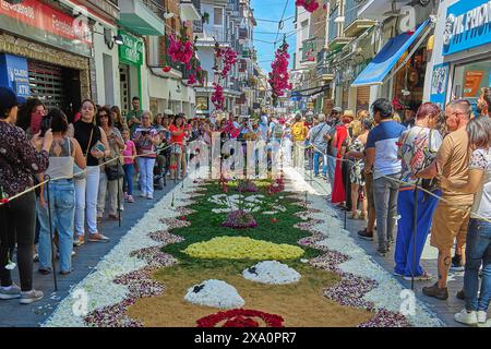 Sitges, Barcelona, Spanien-03. Juni 2024: Szene aus der Fronleichnamsfeier in Sitges, Spanien. Die Straße ist mit einem aufwendigen Blumenauto geschmückt Stockfoto