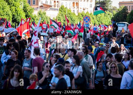 Rom, Italien. Im Foto Demonstranten mit Fahnen. NUR REDAKTIONELLE VERWENDUNG! NICHT FÜR KOMMERZIELLE ZWECKE! Stockfoto