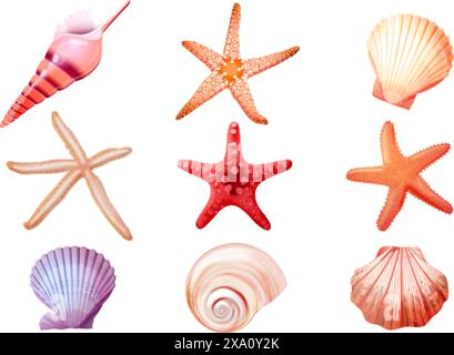 Realistische Muscheln Seesterne. 3d Stern Fisch Muschel Muschel Küstenstrand Reise Elemente, Muscheln Unterwasser Aquarium Meerestier Muscheln Muscheln Muscheln Muscheln Vektor Illustration der Meeresozeanschale Stock Vektor