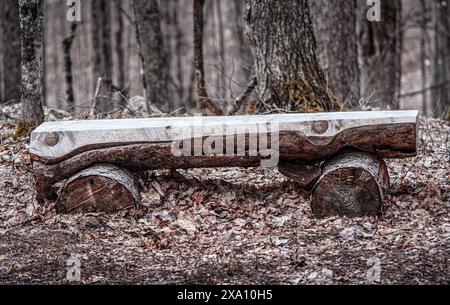 Eine Bank im Wald aus natürlichem Holz, die auf einem Wanderweg in Ontario, Kanada, gefunden wurde Stockfoto