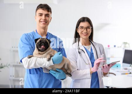 Junge Tierärzte mit Mops und Tablet-Computer in der Klinik Stockfoto