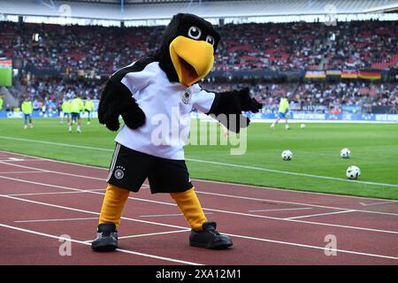 Fussball Laenderspiel Deutschland - Ukraine am 03.06.2024 im Max-Morlock-Stadion Nürnberg Paule (Maskottchen Deutschland) DFB-Vorschriften verbieten jede Verwendung von Fotografien als Bildsequenzen und/oder Quasi-Video. Foto: Revierfoto Credit: ddp Media GmbH/Alamy Live News Stockfoto