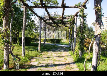 Wunderschöner El Parque de Servantes mit Rosengärten, Park Servantes in Barcelona, Spanien Stockfoto