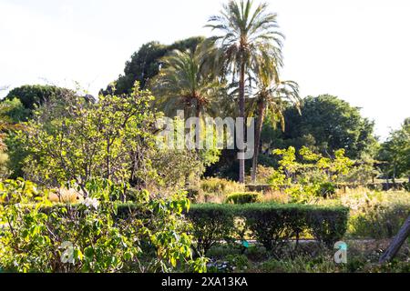 Wunderschöner El Parque de Servantes mit Rosengärten, Park Servantes in Barcelona, Spanien Stockfoto