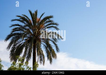 Wunderschöner El Parque de Servantes mit Rosengärten, Park Servantes in Barcelona, Spanien Stockfoto