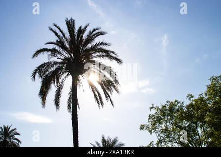 Wunderschöner El Parque de Servantes mit Rosengärten, Park Servantes in Barcelona, Spanien Stockfoto