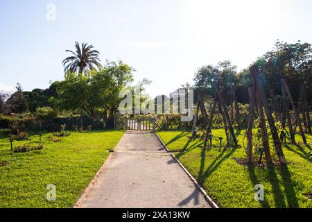 Wunderschöner El Parque de Servantes mit Rosengärten, Park Servantes in Barcelona, Spanien Stockfoto