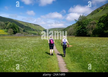 Spaziergänger auf einem öffentlichen Fußweg durch die Wildblumenwiesen von Muker in Swaledale, North Yorkshire, Großbritannien. Stockfoto