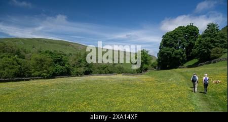 Spaziergänger auf einem öffentlichen Fußweg durch die Wildblumenwiesen von Muker in Swaledale, North Yorkshire, Großbritannien. Stockfoto