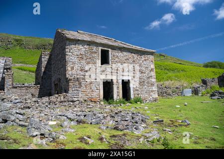 Ruinen von Crackpot Hall, einem abgelegenen Bauernhof auf Moorland, mit Blick auf Muker in der Kisdon-Schlucht. Sie wurde 1953 aufgrund von Subventionen aufgegeben Stockfoto