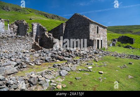 Ruinen von Crackpot Hall, einem abgelegenen Bauernhof auf Moorland, mit Blick auf Muker in der Kisdon-Schlucht. Sie wurde 1953 aufgrund von Subventionen aufgegeben Stockfoto