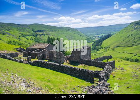 Ruinen von Crackpot Hall, einem abgelegenen Bauernhof auf Moorland, mit Blick auf Muker in der Kisdon-Schlucht. Sie wurde 1953 aufgrund von Subventionen aufgegeben Stockfoto