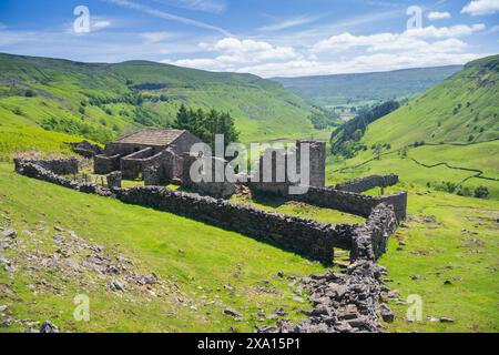 Ruinen von Crackpot Hall, einem abgelegenen Bauernhof auf Moorland, mit Blick auf Muker in der Kisdon-Schlucht. Sie wurde 1953 aufgrund von Subventionen aufgegeben Stockfoto