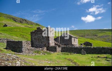 Ruinen von Crackpot Hall, einem abgelegenen Bauernhof auf Moorland, mit Blick auf Muker in der Kisdon-Schlucht. Sie wurde 1953 aufgrund von Subventionen aufgegeben Stockfoto