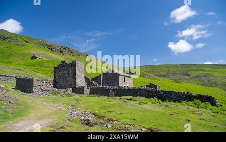 Ruinen von Crackpot Hall, einem abgelegenen Bauernhof auf Moorland, mit Blick auf Muker in der Kisdon-Schlucht. Sie wurde 1953 aufgrund von Subventionen aufgegeben Stockfoto