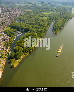 Luftaufnahme, Sieg- und Siegermündung, Rhein und Binnenschifffahrt mit Containerschiff, Diescholl-Ochsenbogen der Sieg und Waldgebiet, Blick auf Stockfoto