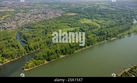 Aus der Vogelperspektive, Rhein und Sieg mit Siegermündung und Waldgebiet Siegaue, Diescholl alter Siegerarm und Waldgebiet, Blick auf Mondorf und Stockfoto