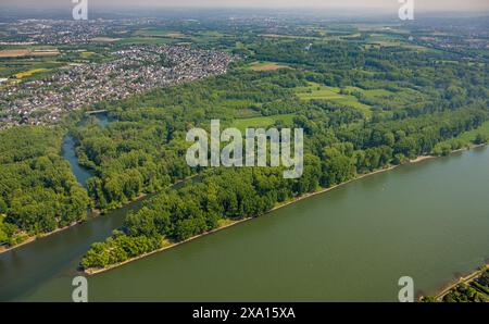 Aus der Vogelperspektive, Rhein und Sieg mit Siegermündung und Waldgebiet Siegaue, Diescholl alter Siegerarm und Waldgebiet, Blick auf Mondorf und Stockfoto