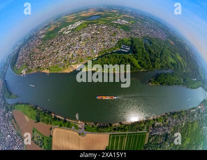 Luftaufnahme, Sieg- und Siegermündung, Rhein und Binnenschifffahrt mit Containerschiffen, Diescholl-Ochsenbogen der Sieg und Waldgebiet Siegaue, Stockfoto