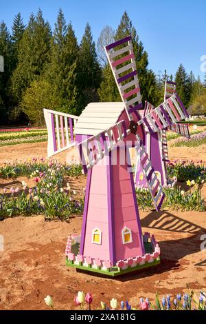 Eine farbenfrohe Miniatur-Windmühle in leuchtend rosa, umgeben von wunderschönen Blumen bei einem Tulpenfest. Stockfoto