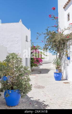 Ein weißes Gebäude mit mehreren Topfpflanzen in der Nähe in Vejer de la Frontera, Spanien Stockfoto