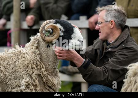 Swaledale Sheep bei der Tan Hill Spring Show 2024. Stockfoto
