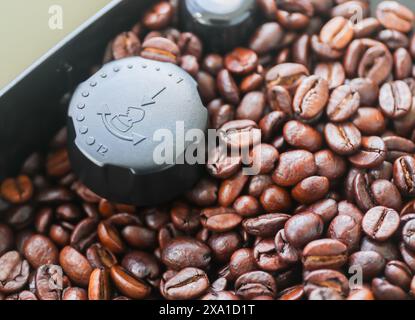 Die Arabica-Kaffeebohnen vor dem Rösten in einer Kaffeemaschine Stockfoto