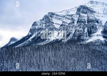 Ein schneebedeckter Berg mit dichtem Baumbestand in der Mitte. Stockfoto