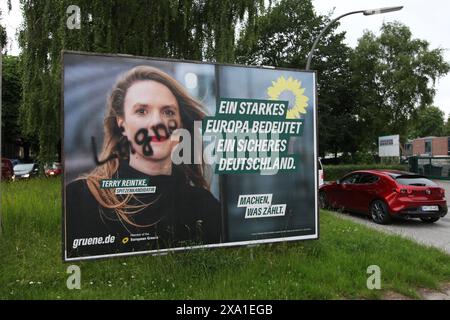 Ein Wahlplakat der Grünen mit dem Konterfei von Theresa Terry Reintke, Mitglied des Europäischen Parlaments und Co-Vorsitzende der Grünen/EFA-Fraktion, steht an der Saarlandstraße. Unbekannte haben auf ihr Gesicht den Schriftzug Lügner gesprüht. Barmbek Hamburg *** Auf der Saarlandstraße steht Ein Wahlplakat der Grünen Partei nach dem Vorbild von Theresa Terry Reintke, Europaabgeordneter und Ko-Vorsitzende der Grünen-EFA-Fraktion, Unbekannte haben ihr die Worte Lügner ins Gesicht gesprüht Barmbek Hamburg Stockfoto