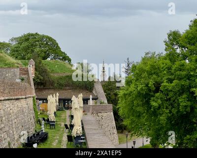 Einige Tische mit Sonnenschirmen auf einem üppig grünen Feld in Kafeterija Kalemegdan Stockfoto