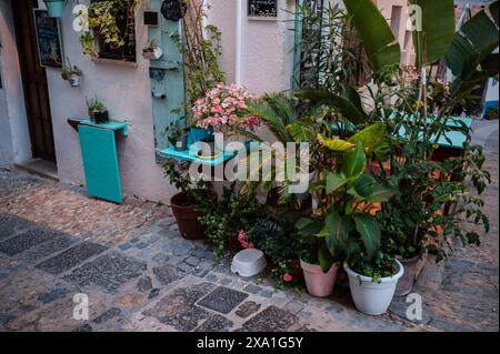 Charmante La Templanza Bibliothek in der Altstadt von Peñiscola, Castellon, Valencianische Gemeinde, Spanien Stockfoto