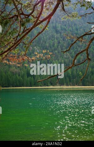Der malerische Toblacher See in Südtirol, Italien Stockfoto
