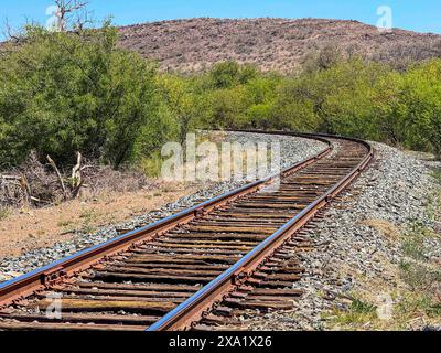 Bahngleise und Schwellen in den Bergen in der Gemeinde Turicachi und ejido km 47 zwischen Nacozari und Esqueda Gemeinde Fronteras in Sonora Mexiko. PIRA zeremonieller Akt der Apachen Ausbildung, INNIPI klassisches Gehäuse, Wandbild von Apachen Krieger Reiter reiten ihre Pferde und zeremonielle Stange (Luis Gutierrez / Norte Foto) VIAS de tren y durmientes en el monte en la comunidad Turicachi y ejido km 47 ubicada entre entre Nacozari y Esqueda municipio de Fronteras en Sonora Mexiko. PIRA acto Ceremonial de entrenamiento apache , vivienda clasica INNIPI , Mural de jinetes guerreos Stockfoto