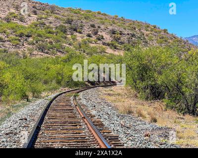 Bahngleise und Schwellen in den Bergen in der Gemeinde Turicachi und ejido km 47 zwischen Nacozari und Esqueda Gemeinde Fronteras in Sonora Mexiko. PIRA zeremonieller Akt der Apachen Ausbildung, INNIPI klassisches Gehäuse, Wandbild von Apachen Krieger Reiter reiten ihre Pferde und zeremonielle Stange (Luis Gutierrez / Norte Foto) VIAS de tren y durmientes en el monte en la comunidad Turicachi y ejido km 47 ubicada entre entre Nacozari y Esqueda municipio de Fronteras en Sonora Mexiko. PIRA acto Ceremonial de entrenamiento apache , vivienda clasica INNIPI , Mural de jinetes guerreos Stockfoto