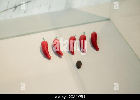 Ein Blick von oben auf Paprika in Glaskästen neben einer schwarzen Bohne Stockfoto