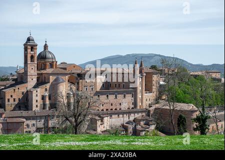 Der Herzogspalast, ein Renaissancebau in der italienischen Stadt Urbino in den Marken Stockfoto