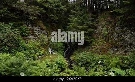 Ein Mann steht an einem Wasserfall in einem üppigen Wald Stockfoto