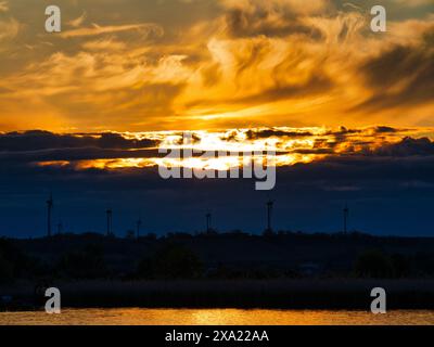 Ein Sonnenuntergang über dem Neusiedler See in Österreich, der Schilfgürtel und das Wasser in malerischen Farbtönen färbt Stockfoto