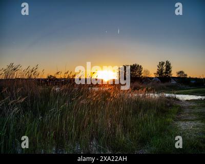 Ein Sonnenuntergang über dem Neusiedler See in Österreich, der Schilfgürtel und das Wasser in malerischen Farbtönen färbt Stockfoto