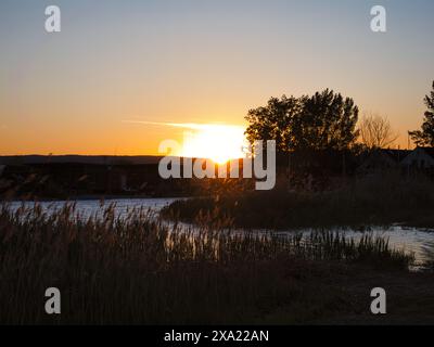 Ein Sonnenuntergang über dem Neusiedler See in Österreich, der Schilfgürtel und das Wasser in malerischen Farbtönen färbt Stockfoto