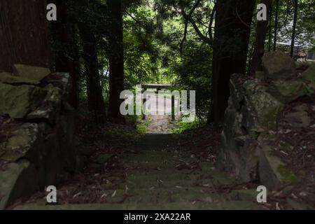 Eine Steintreppe in der Nähe des alten japanischen Schreins auf dem Land in Gunma Japan Stockfoto