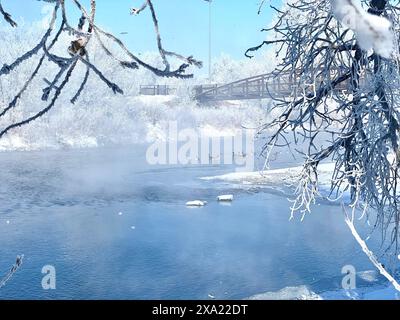 Ein ruhiger blauer Bach fließt durch schneebedeckte Bäume Stockfoto