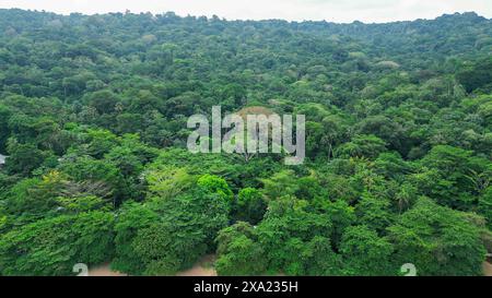 Ein Blick aus der Vogelperspektive auf Ilha do Principe mit üppigem Wald und Dschungel in Sao Tome e Principe, Afrika. Stockfoto