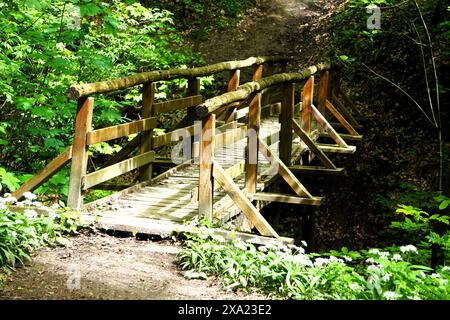 Eine hölzerne Brücke umgeben von üppigen grünen Bäumen und weißen Blüten. Stockfoto