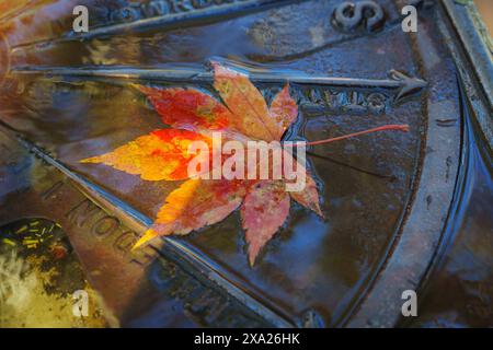 Herbstblick auf den Berg Mazedon Stockfoto