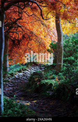 Herbstblick auf den Berg Mazedon Stockfoto