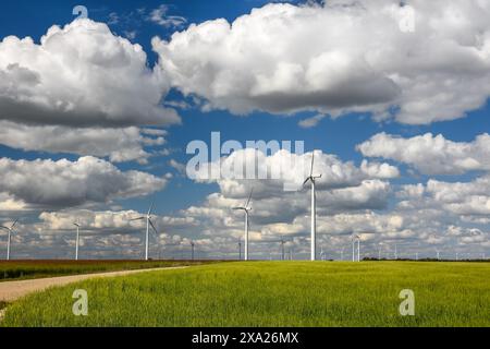 Windräder auf einem Feld unter blauem Himmel mit Wolken Stockfoto