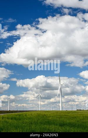 Ein riesiges grünes Feld mit zahlreichen Windmühlen in der Ferne Stockfoto