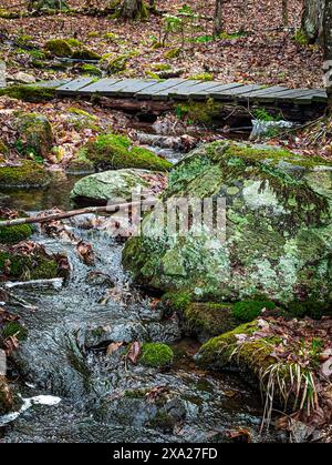 Eine ruhige Holzbrücke über einen kleinen Bach im Wald in Ontario, Kanada Stockfoto