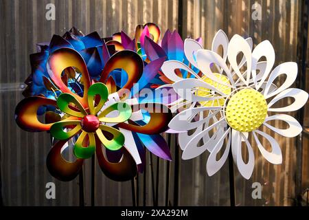 Zwei dekorative Windmühlen, eine mehrfarbig und eine weiß, in Form von Blumen, die auf einem Gartenmarkt verkauft werden. Stockfoto